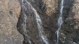 Nature #