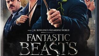 Fantastic_Beasts_and_Where_to_Find_Them_(2016)_Hindi_Dubbed_720p