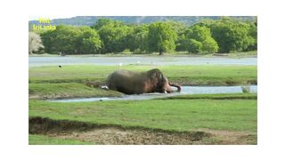 Visit Srilanka