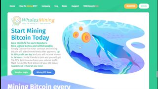Whalesmining.com Review: (SCAM Or LEGIT?) & Will you get Paid Or Not?