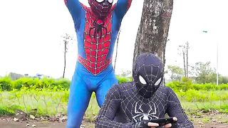 Gậy Ông Đập Lưng Ông ???? Meilleure compilation de courts métrages SPIDER-MAN