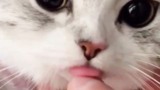 Funny videos 2023