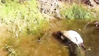 Awesome video ????