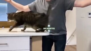 Dogs can land on their feet too...Not