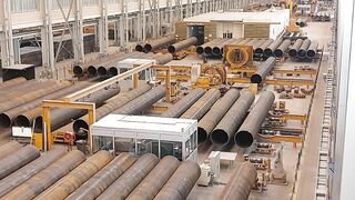Paip plant