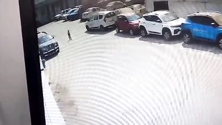 VID-20230226-WA0003.