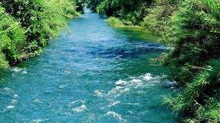 4k River Video Free Copyright | Free Video Point