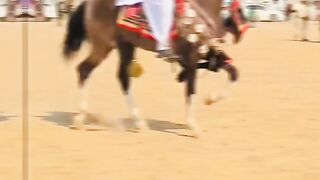 Art of riding