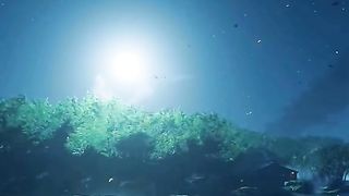 Subscribe to enjoy the beautiful nature ❤️????