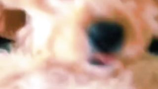 Lol # funny # laugh # fun # viral # funny video # funny baby # lol