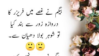 بیگم نے غصے میں فریزر کا دروازہ زور سے بند کیا تو شوہر بولا|funny videos|funny videos youtube