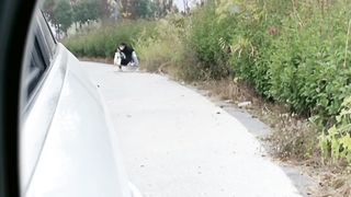 Nice helping