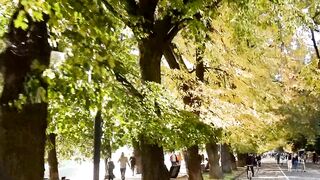 Herbstspaziergang 1 / Осенняя (прогулка) 1