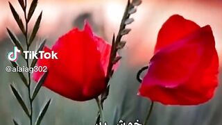 very nice video