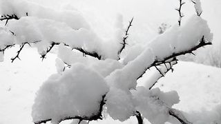 Snow fall in neelum valley AJK