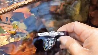 Beautiful water