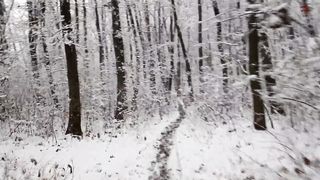 Winterspaziergang 1 / Зимняя (прогулка) 1