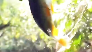 very sweet lovely video ######