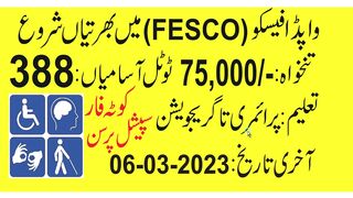 FESCO WAPDA  jobs 2023| FESCO Latest new Govt Jobs 2023| Special person Jobs2023