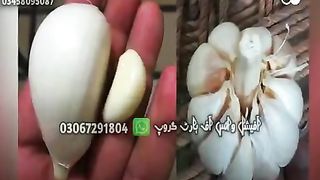 لہسن کی نئی  قسم  متعارف