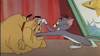 Jerry and the Dog  Tom and Jerry