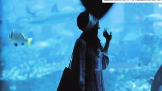 one night in dubai song