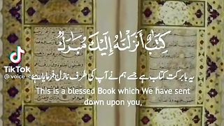 Daily Quran Status Recitation ????????