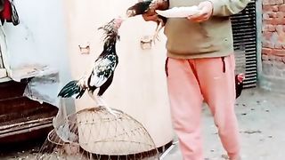 Tik tok vedio