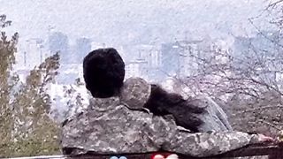 LOVE STORY