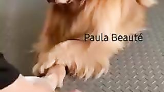 A doog too funny????????