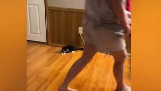 Try Not To Laugh Animals _Funniest Cat Videos In The World  Funny Animal Videos