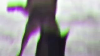 Funny Videos || Funny cat and dog || funny dog dance || #shorts #tiktok