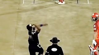 Cricket lover