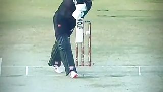 Cricket lover