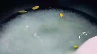Gulab Jammun Recipe