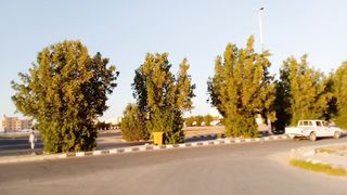 Plant more and more trees for oxygen