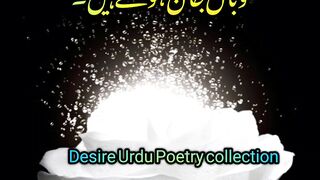 Urdu poetry status