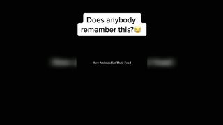 Funy tiktok compilation