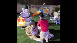 Arabic Funny Video Collection ||