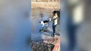 Best Funny Animals Videos 2023 ????Funniest Dogs And Cats Videos????????
