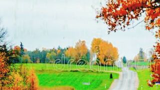 Rain day. #10