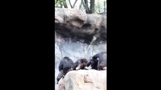TRY NOT TO LAUGH ???? Best Funny Videos Compilation ???????????? PART 2