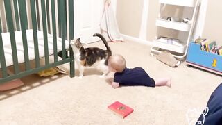 Best video of Cute Babies and Pets - Funny Baby and Pet