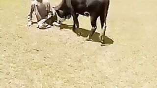 جانور اپنے مالک کا وفادار لیکن انسان اپنے مالک کا وفادار نہیں