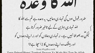الله کا وعدہ ..... اشتہار پر کلک کرکے دیکھے