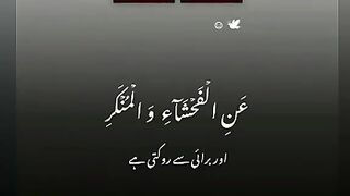یقین ن نماز بے حیائی اور برائے سے بچاتی ہے ..... اشتہار پر کلک کر کے دیکھی