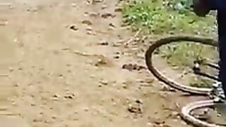 Elephant crizy video