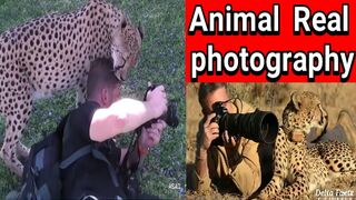 When Animals Surprised Photographers