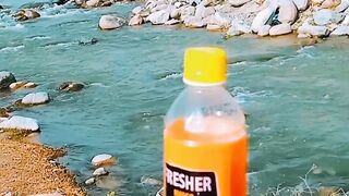 Nature lover must watch