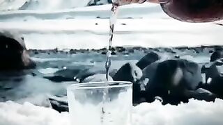 Dil ye pukara Aja ❤️????